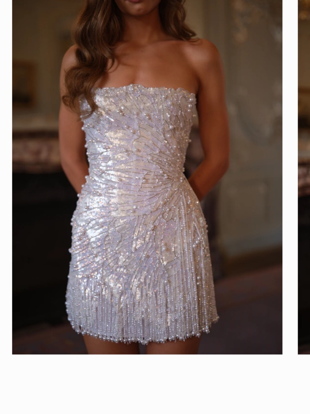 Rosie Etienne Seraphine Hand Beaded Mini Dress